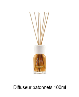 2_Diffuseur batonnets 100ml